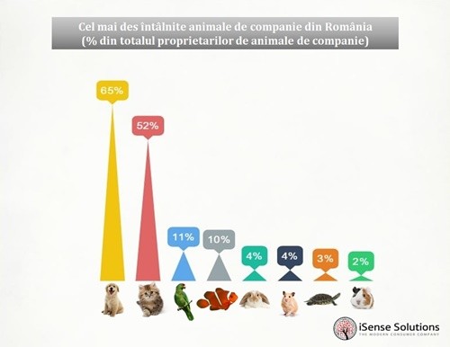Grafic_animale de companie_500